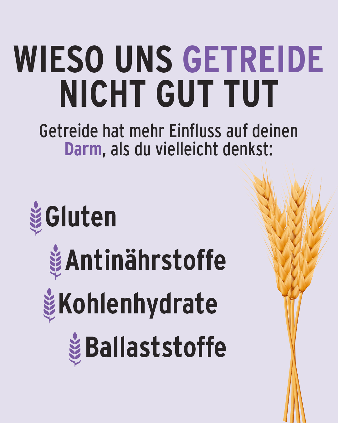 Wieso uns Getreide nicht gut tut
